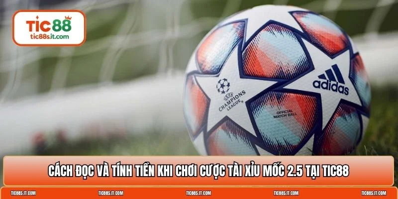 kèo tài xỉu 2.5 TIC88