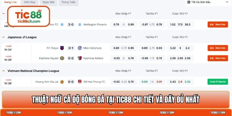 thuật ngữ cá độ bóng đá