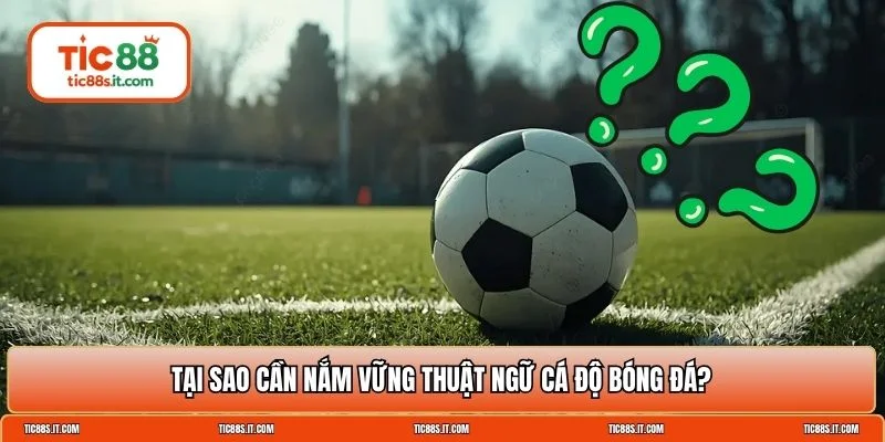 thuật ngữ cá độ bóng đá