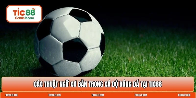 thuật ngữ cá độ bóng đá