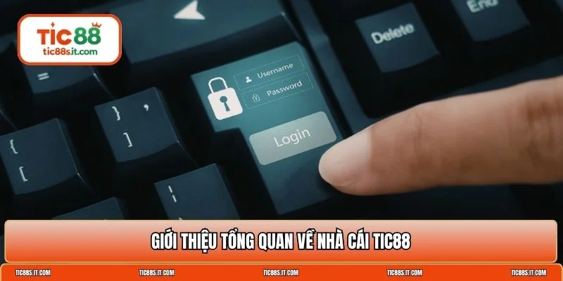 TIC88 lừa đảo hay không?